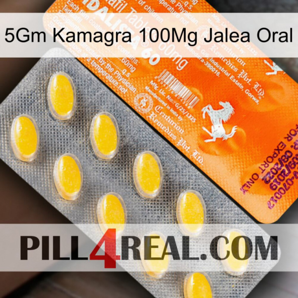 5Gm Kamagra 100Mg Oral Jelly new05.jpg